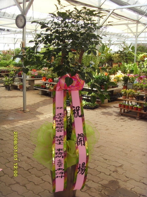 ����Ʈ��