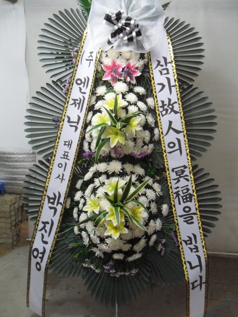 ����ȭȯ69,000��