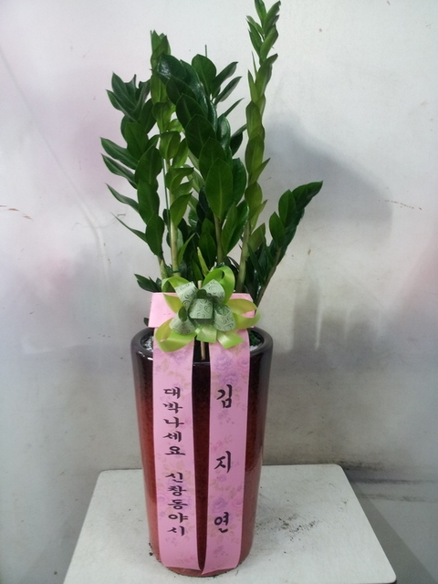 ������50000��