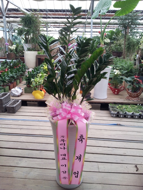 ������50000��