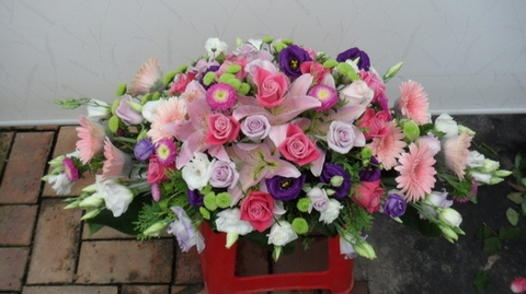 ���ȭ50000��