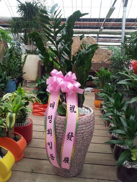 ������50000��