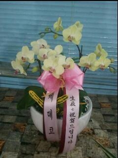 ȣ�� 50,000��