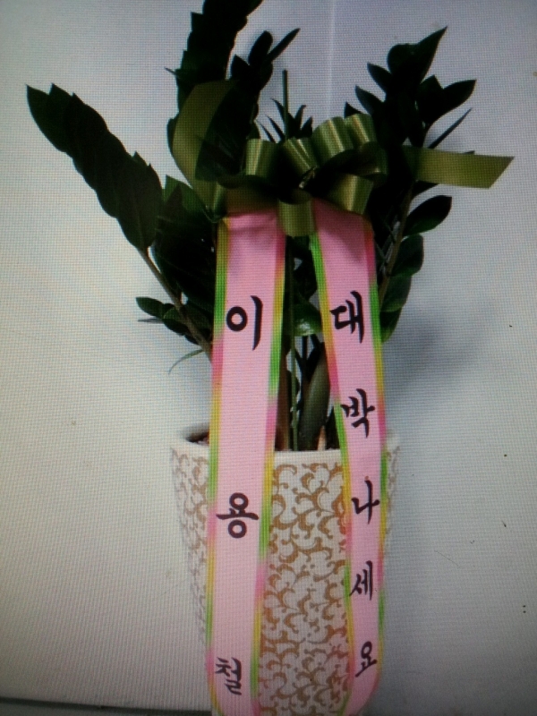 ������ 50,000��