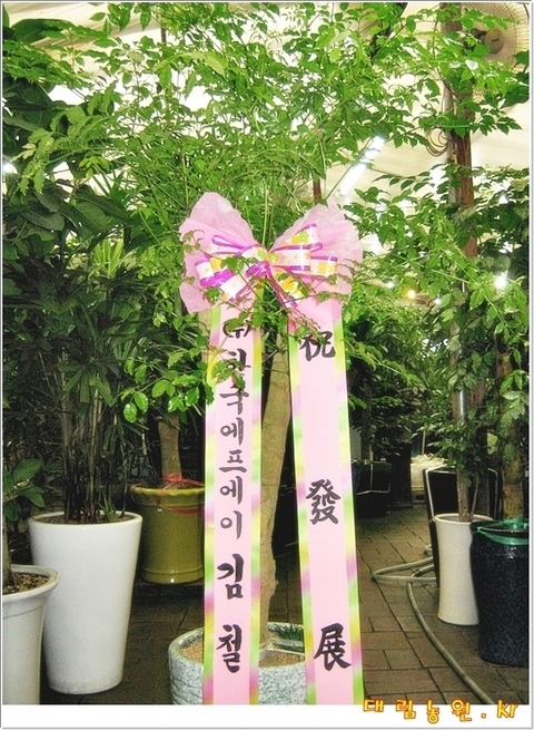 ����Ʈ��