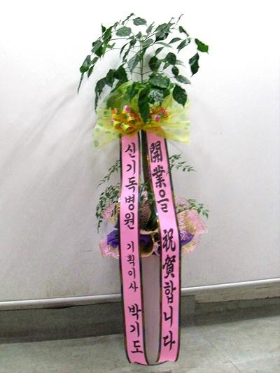 ���� ����