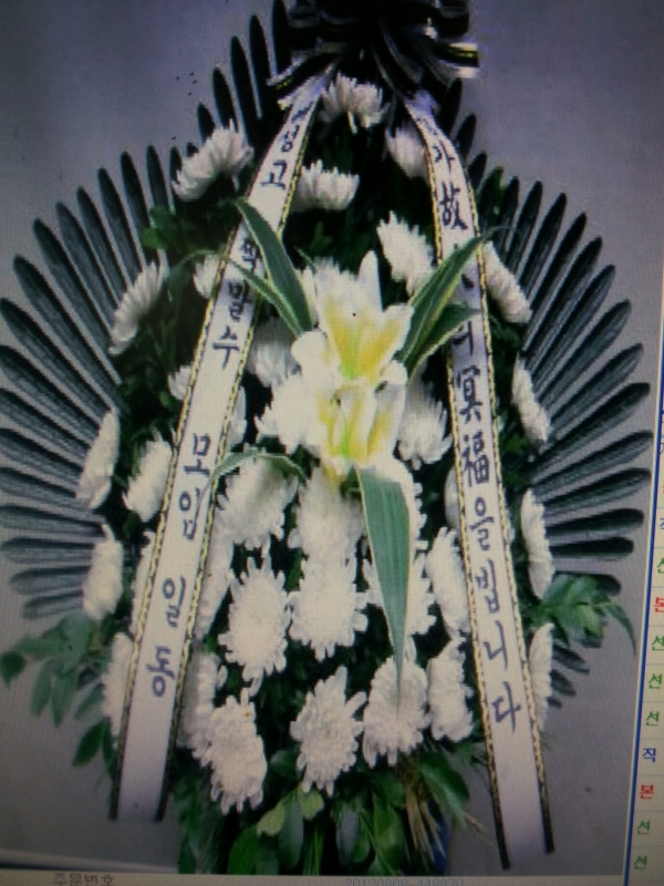 �����ٱ���